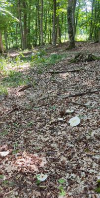 Прикрепленное изображение: IMG_20230718_110853.jpg